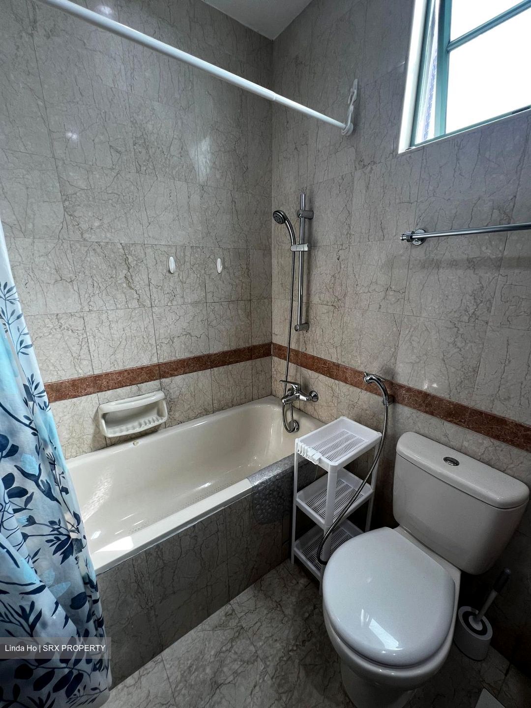 Tanglin Regency (D10), Condominium #613992431